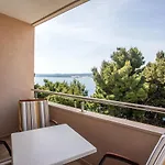 Nedo Dalmatia *