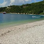 Nedo Dalmatia