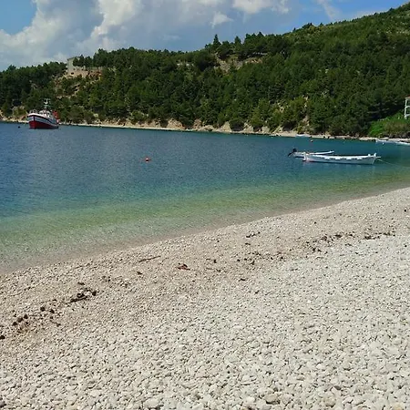 Nedo Dalmatia