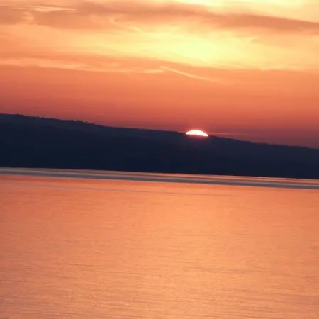 Nedo Dalmatia *