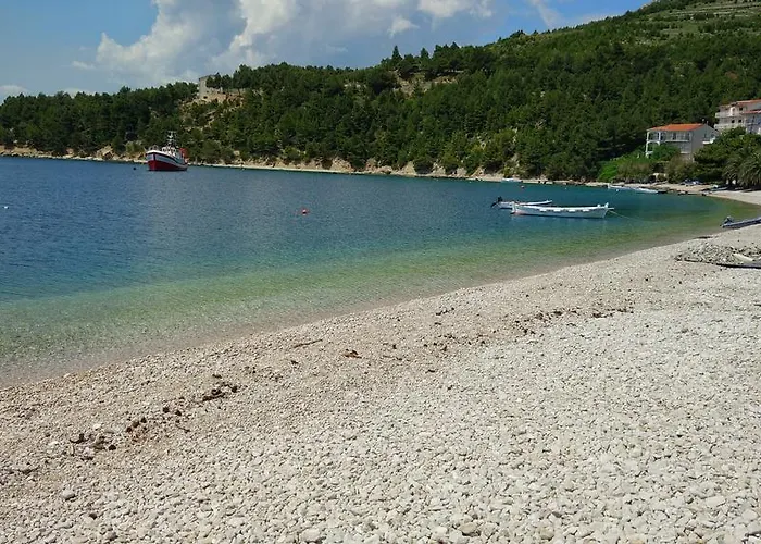 Nedo Dalmatia